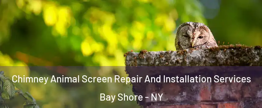  Chimney Animal Screen Repair And Installation Services Bay Shore - NY