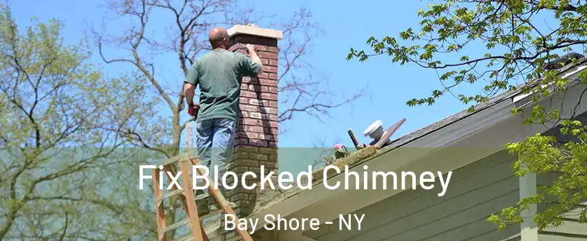  Fix Blocked Chimney Bay Shore - NY