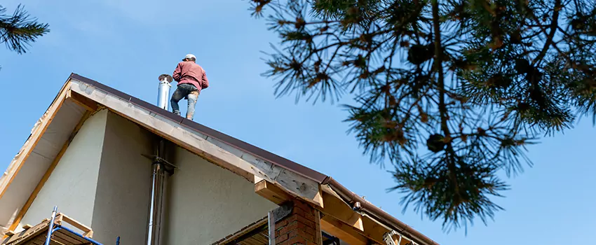 Birds Removal Contractors from Chimney in Bay Shore, NY